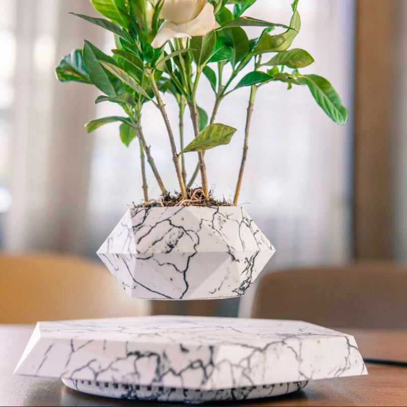 Bonsai Pot Rotation Floating